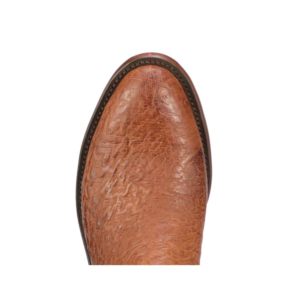 Lucchese Sunset Exotic - Cognac