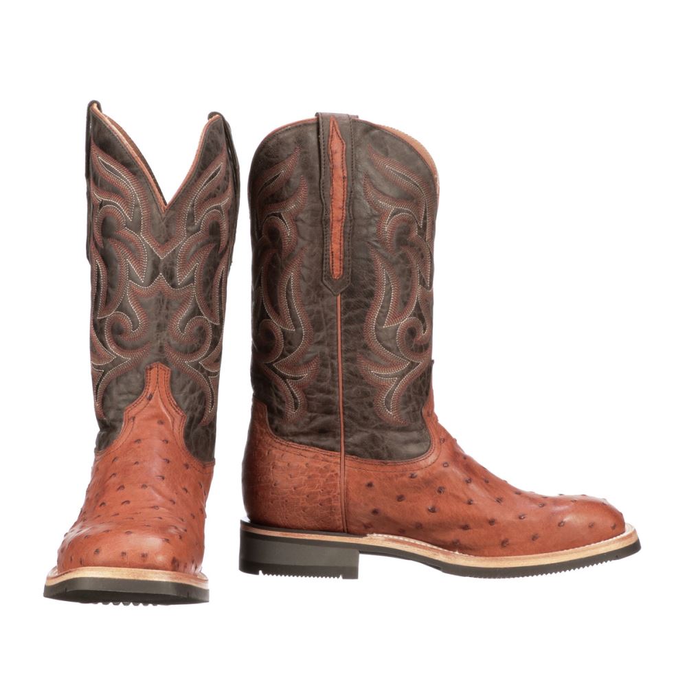 Lucchese Rowdy Ostrich - Cognac + Brown