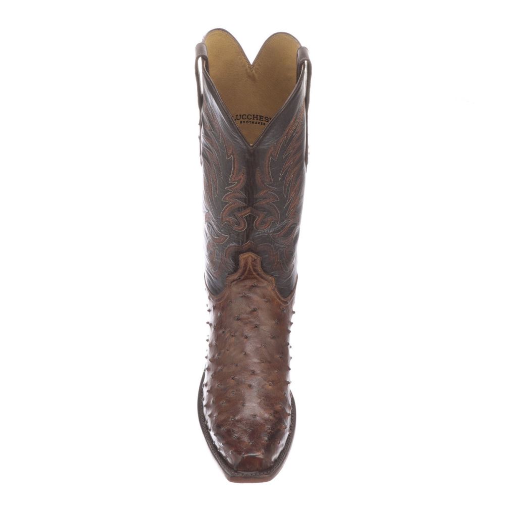 Lucchese Elgin - Chocolate