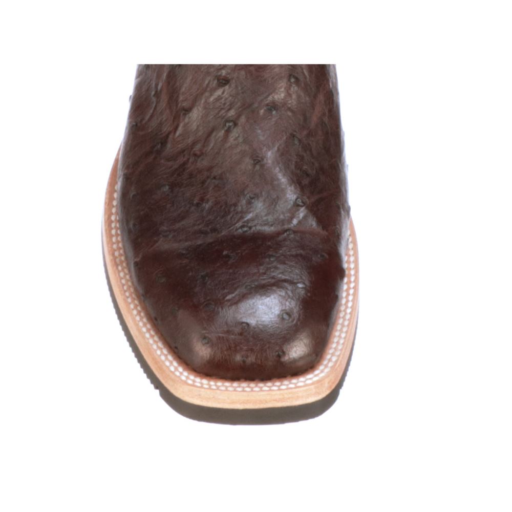 Lucchese Rowdy Ostrich - Antique Chocolate [Zyv5kMg8] - $99.00 ...