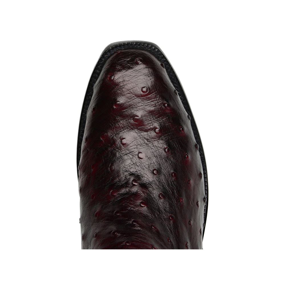 Lucchese Hugh - Black Cherry