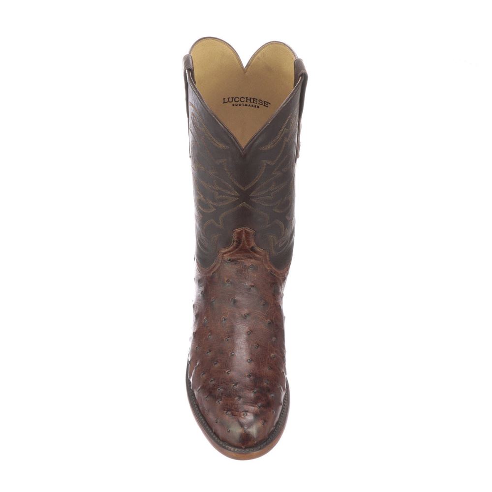 Lucchese Hudson - Chocolate