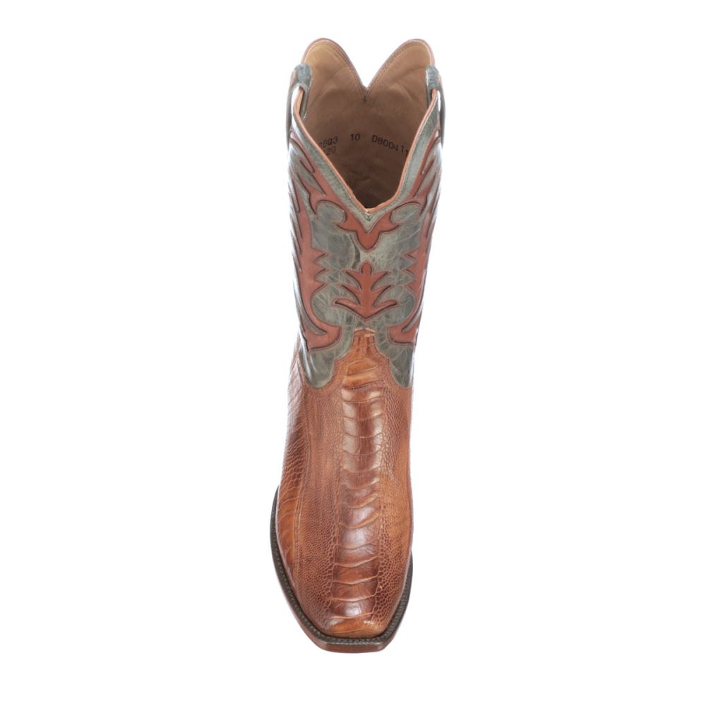 Lucchese Hall Exotic - Brandy + Sky Blue